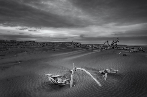 Desolate by Nick Twyford, This look of a post apocalyptic wasteland is fairly typical on the beaches around the mouths of our
