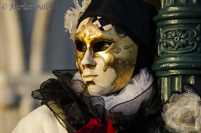 Venice's Carnival 2013