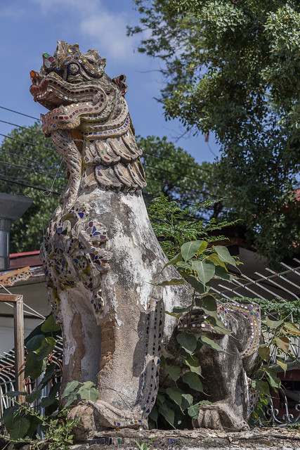 2016/07/27 09h51 dragon (Wat Pa Pao)
