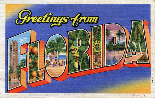 Greetings from Florida - Large Letter Postcard