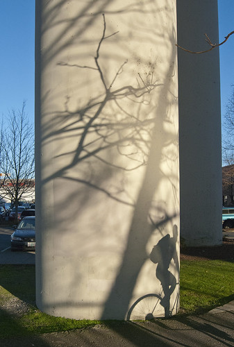 In The Shadows | by photofixpdx