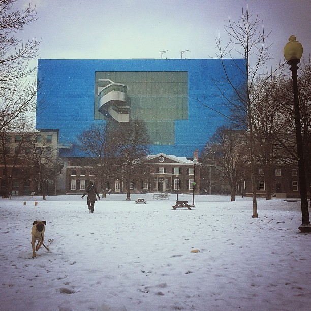 AGO and a dog with the snowy Grange Park (Toronto, Canada. Gustavo Thomas © 2013)