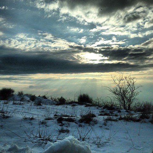 winter sunset snow square squareformat iphoneography instagramapp