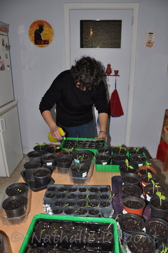 People with green thumbs nurturing plants... #  24/30