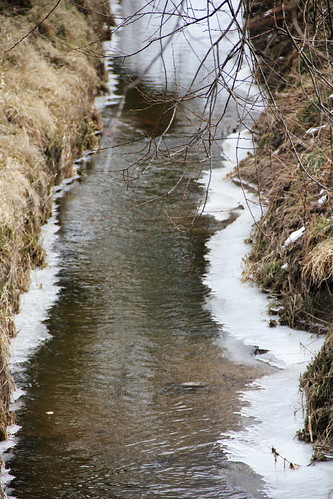 Outskirts of Jaśkowice Legnickie village 26.03.2013 by szogun000, trees winter plants snow nature rural canon countryside frozen flora stream village poland polska de