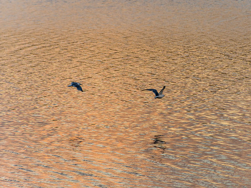 abstract reflections water helena montana unitedstates us sunrise