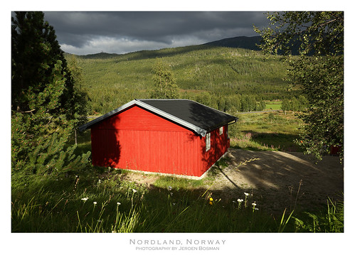 trøndelag norway forest trees cabin hut red sun green clouds contrast