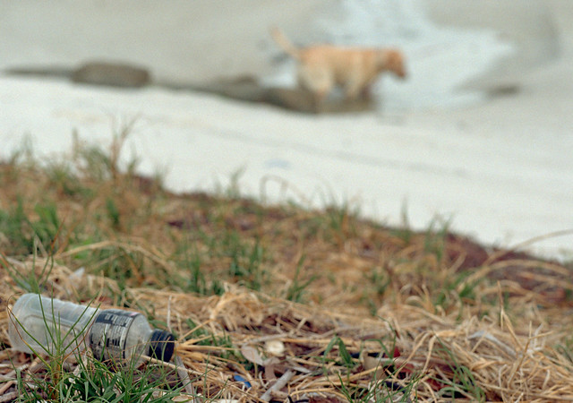 Plastic Bottle & Dog