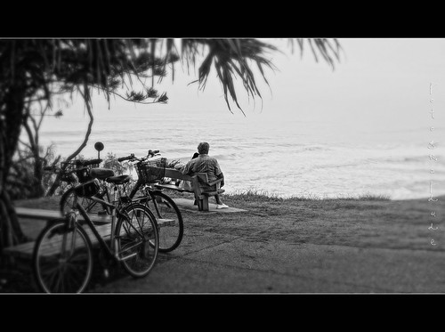 ocean park shadow blackandwhite tree bench couple waves sitting view sony monotone bicycles pandanus rx100 fotografdude