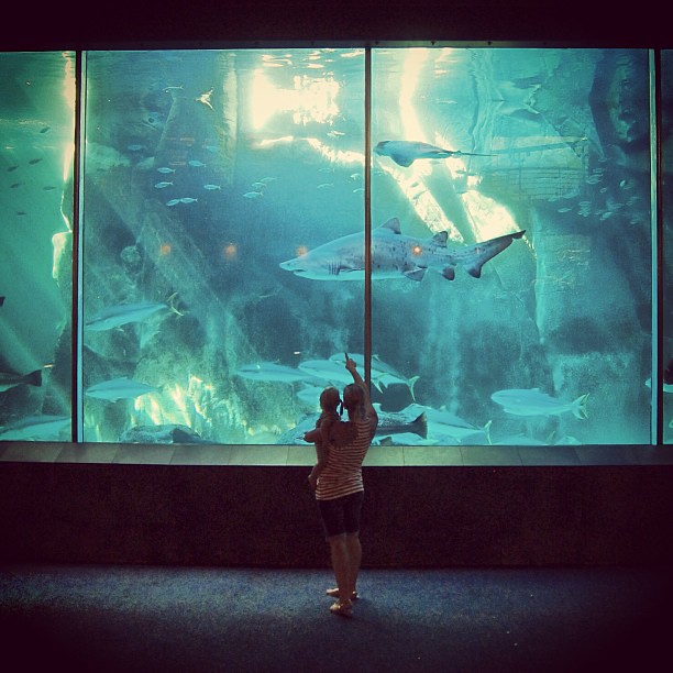 Max's first trip to the aquarium.