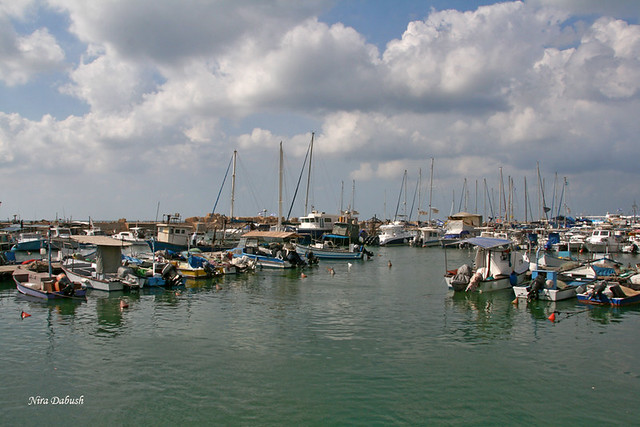 At Jaffa Port