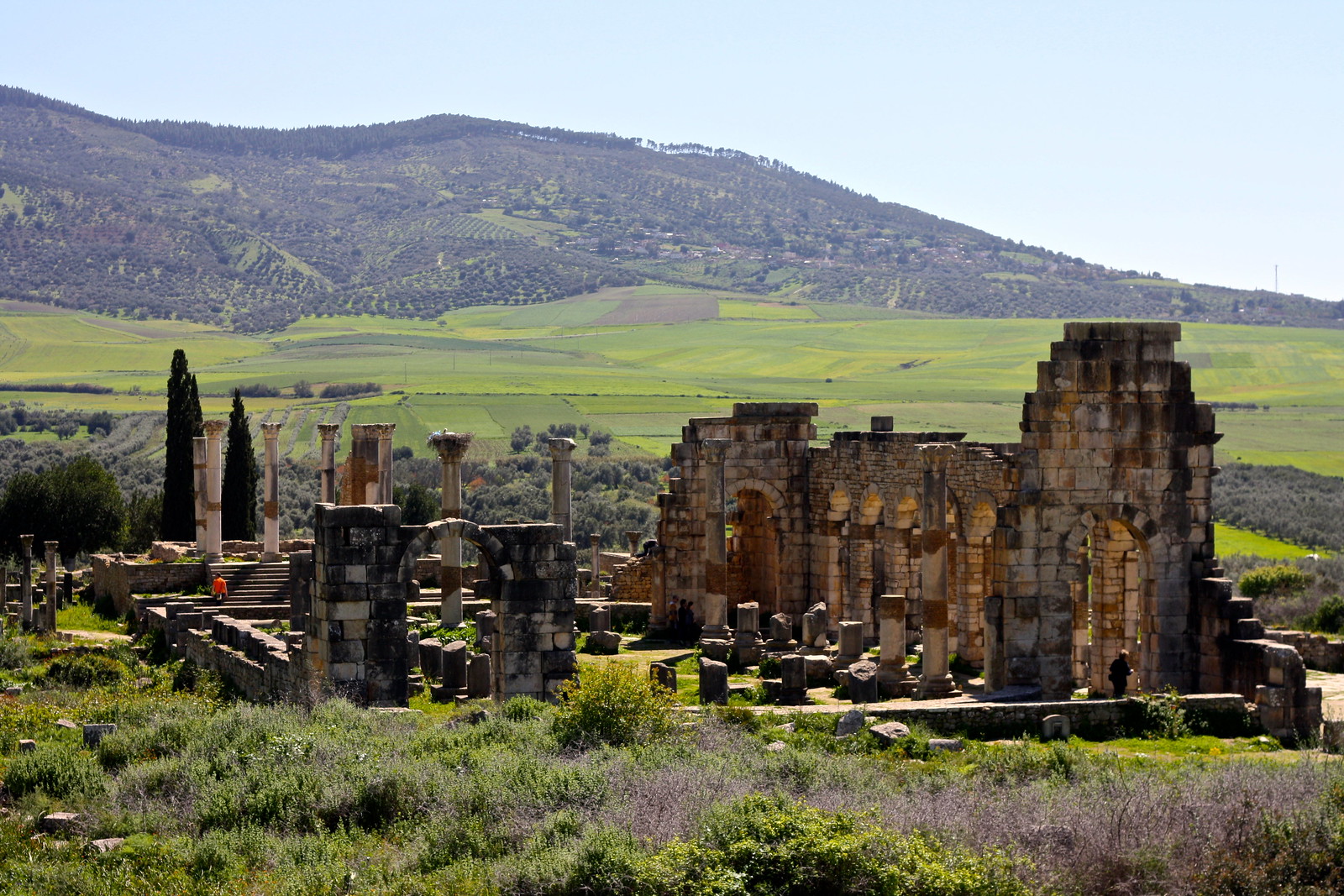 Roman ruins of Volubilis, Morocco