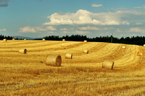 След жътвата... by sevdelinkata, yellow sky summer landscape outdoor bulgaria