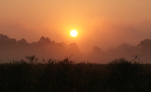 morning fog sunrise morningsunlight
