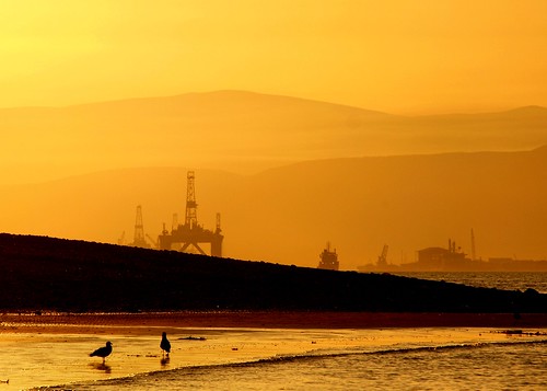 sunset bird scotland highlands rig oil cromarty gloaming
