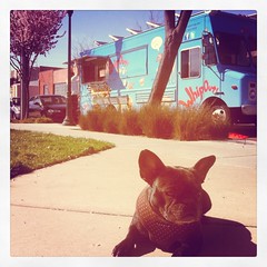 Fiona the Frenchy with a Foodtruck & Flora