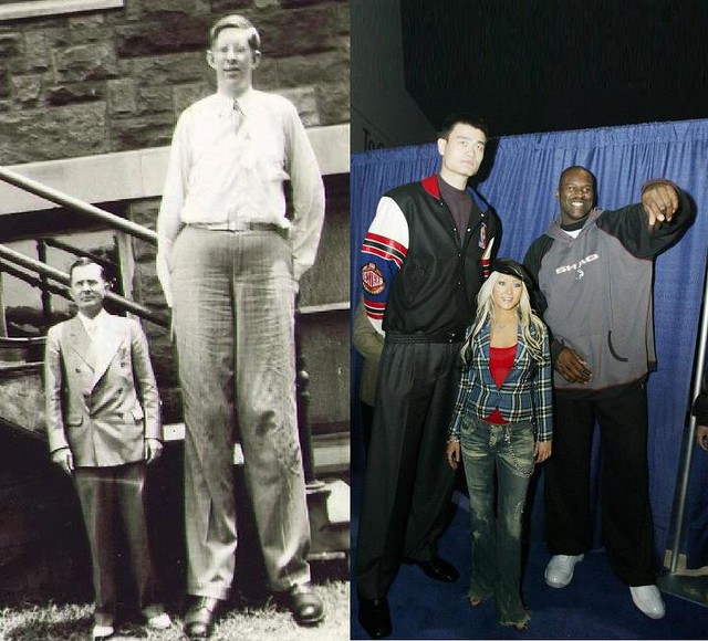 Image scaled to compare Robert Wadlow against Yao Ming, Shaq and Christina ...