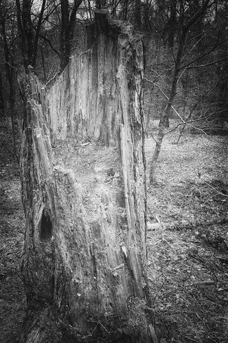 Decay | by loopy_lass3101