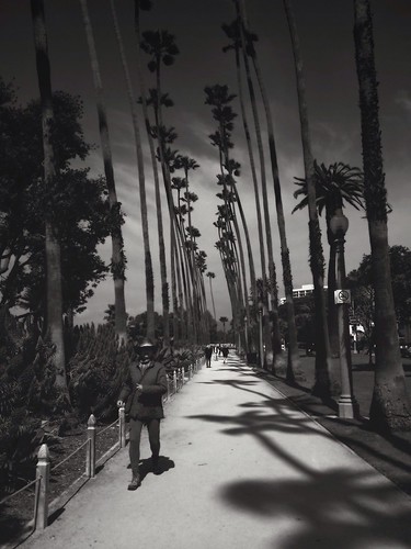 Nave | Walking along the cliffs in Santa Monica, I was struc… | Flickr