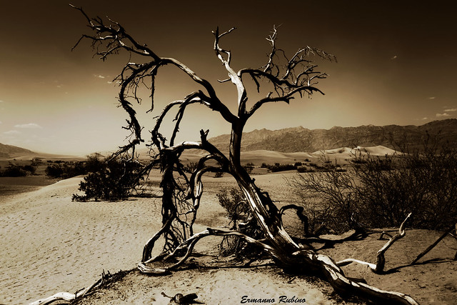 Mesquite Flat - Death Valley