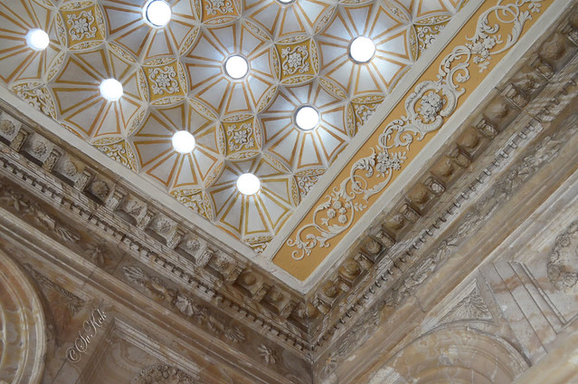 Ceiling of the Sultan's 