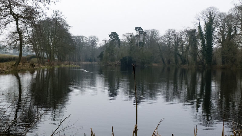 Pool, Pendeford Mill