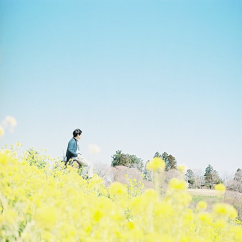 125* | Yellow & Blue | yo_cco | Flickr