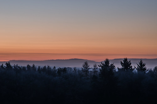 pink red orange fog sunrise valley pfalz cirrus erlenbach