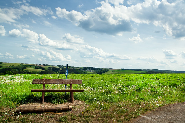 Bench and landscape around it