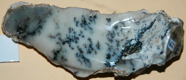 Dendritic opal