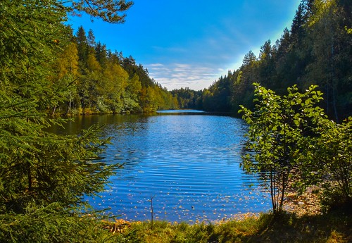 water lake tarn pond calm tranquil forest trees autumn langevann linderudkollen lillomarka oslo norway