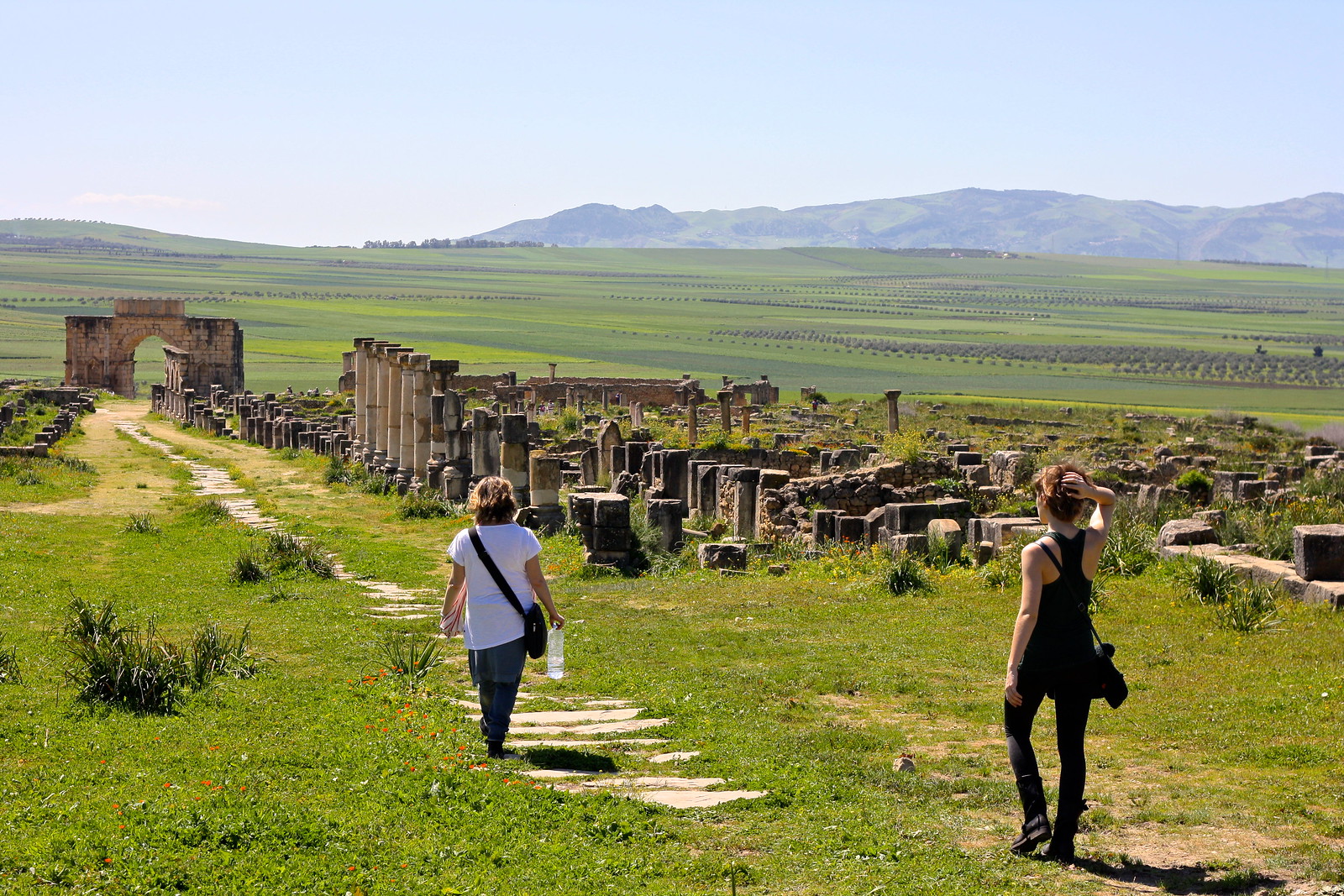 Roman ruins of Volubilis, Morocco