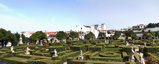 # 127 – 13 – Jardim do Paço Episcopal - Castelo Branco -  Beira Baixa – Portugal
