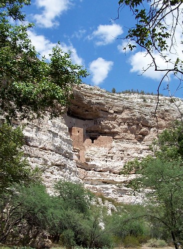 old trees arizona sky cliff mountain nature rock nativeamerican cave cliffdwelling americanindian dwelling montezumacastle