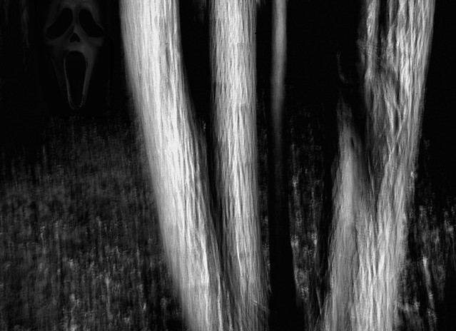 . . . the dark woods(with presence)