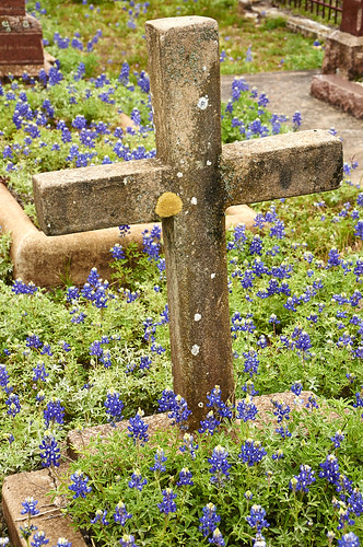 Concrete Cross | St. Mary's Cemetery, Fredericksburg, Texas | Richard