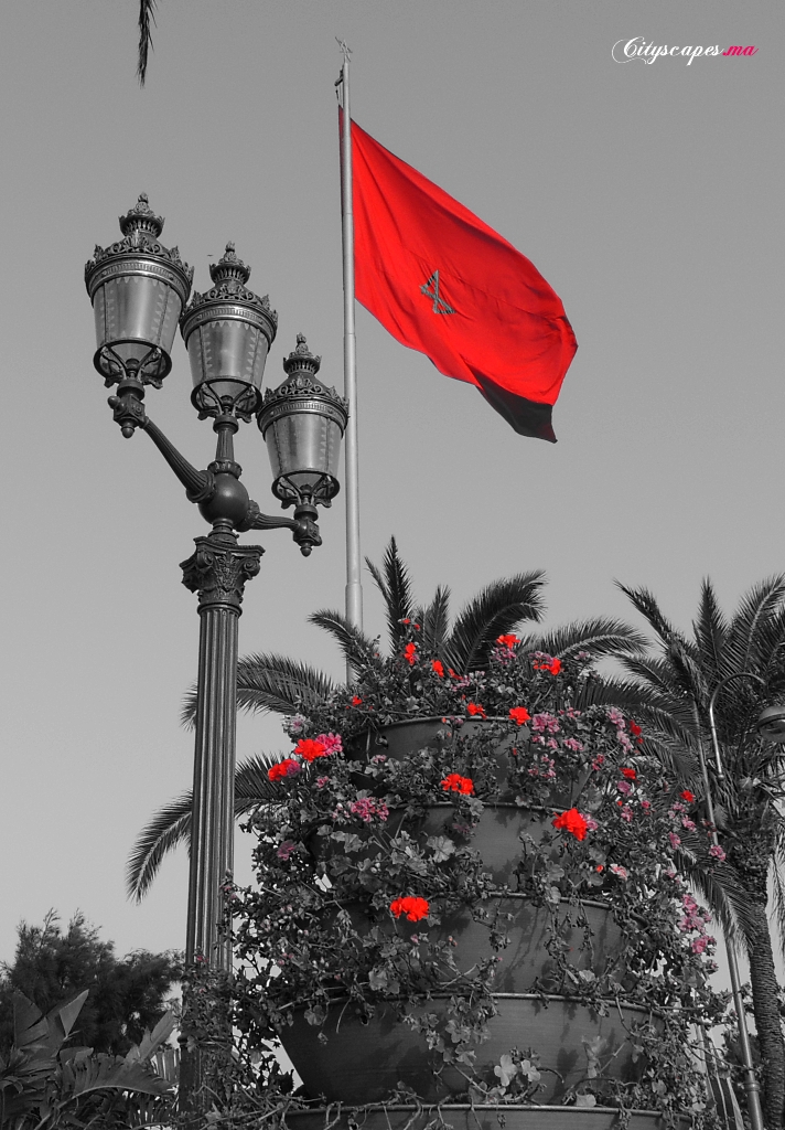 Red Flag | Rabat - Morocco | Red Flag | Rabat - Morocco | Flickr