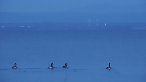 sky bird sunrise landscape geese vermont pastel goose gradient colchester vt radiotower radiotowers