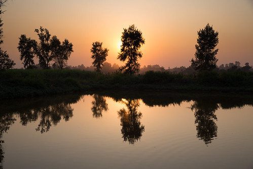 Sangharsa - stories of women's struggles by D J Clark, Sunset over one of Asha's fish ponds. Asha Chaudhary, Kailali comes from the Tharu community, in Nep