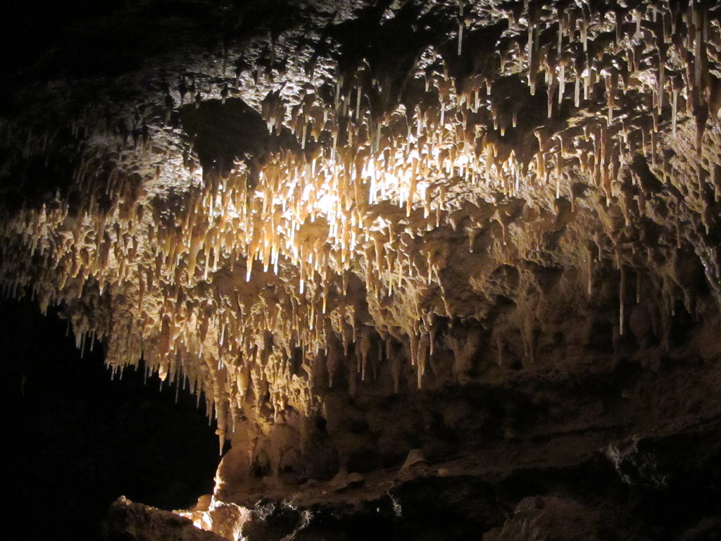 Spiky | Stalactites, Harrison's Cave, Barbados. | Loozrboy | Flickr
