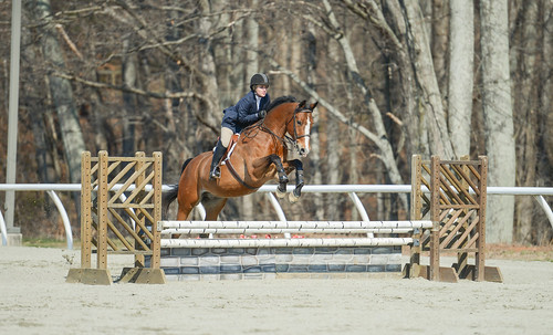 sports animal animals jumping allowme equine equitation sweetbriarcollege cristinathomas