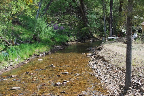 river australia victoria woodspoint goulburnriver