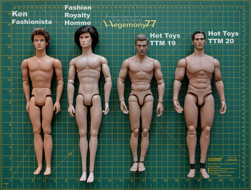Sixth scale male dolls and action figures comparison photo - Ken Fashionist...