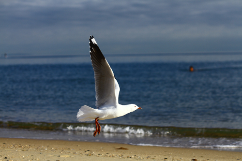 speed shutter 10 | by RATANABANTHOONpatt_Swin