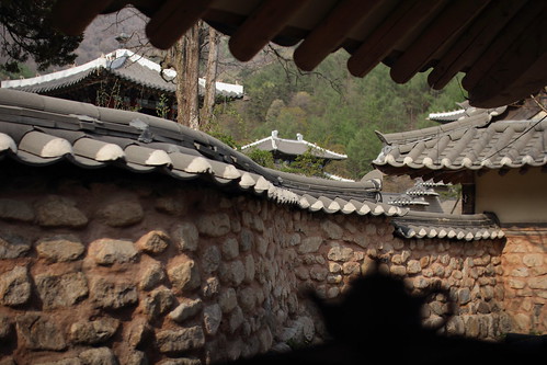 roof house silhouette architecture fence landscape culture korea lucas cannon 동형
