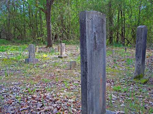 cemetery northwest alabama lamarcounty branyon