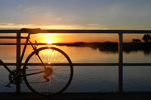 sunset bike australia victoria mangroves oceangrove barwonriver
