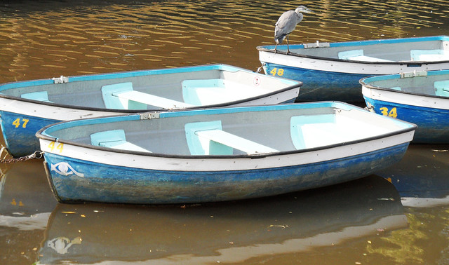 Boats and Heron stock