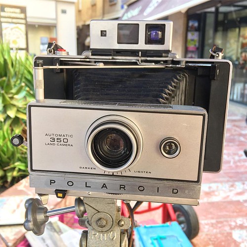 Land camera!!! #polaroid #instantcamera #landcamera #perpignan #perpinyà #caminant #camera #gear | by Thundershead