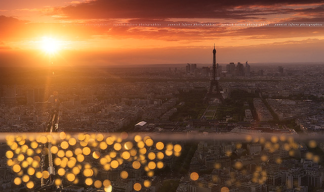 The Light of Paris ...